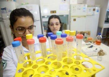 Paraná autoriza aulas presenciais dos últimos anos de cursos da Saúde