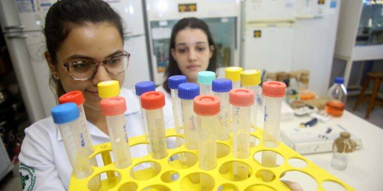 Paraná autoriza aulas presenciais dos últimos anos de cursos da Saúde