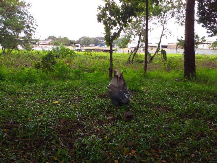 Parceria entre Exército e Município realiza limpeza de rios e terrenos baldios em Foz