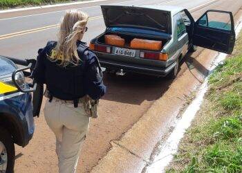 No oeste, motorista bêbado sem carteira é preso pela PRF com 230 quilos de maconha