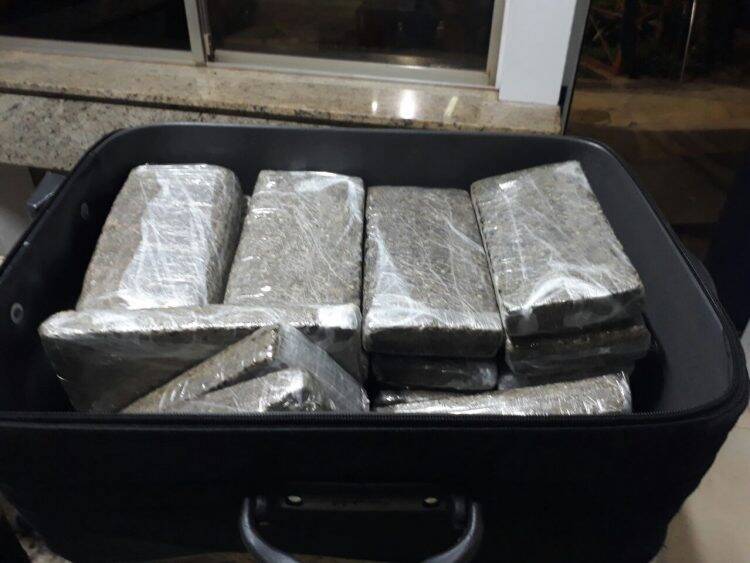 Em menos de 02 horas, PRF realiza três apreensões de maconha em Santa Terezinha