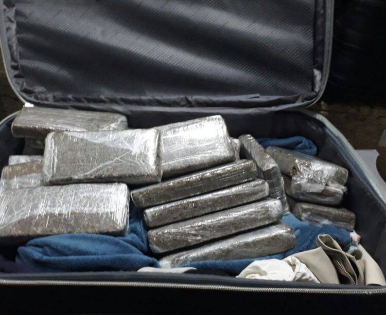 Em menos de 02 horas, PRF realiza três apreensões de maconha em Santa Terezinha