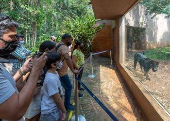 Refúgio Biológico e Ecomuseu de Itaipu reabrem com novidades para os turistas