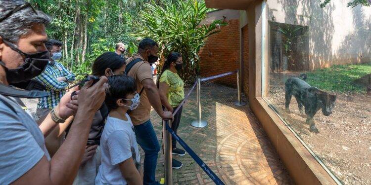 Refúgio Biológico e Ecomuseu de Itaipu reabrem com novidades para os turistas