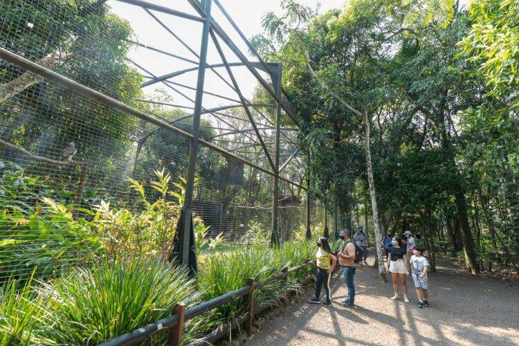 Refúgio Biológico e Ecomuseu de Itaipu reabrem com novidades para os turistas