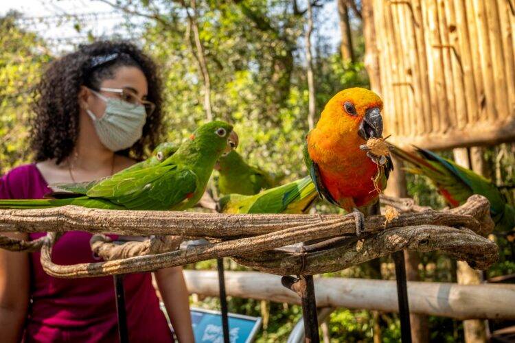 Parque das Aves tem feriado marcado pela retomada da visitação