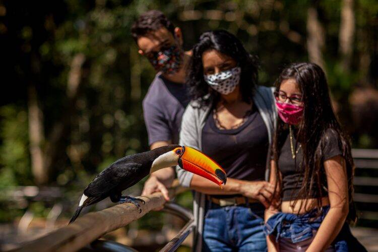 Parque das Aves tem feriado marcado pela retomada da visitação