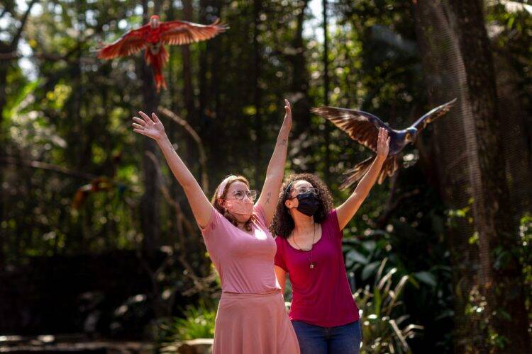 Parque das Aves tem feriado marcado pela retomada da visitação