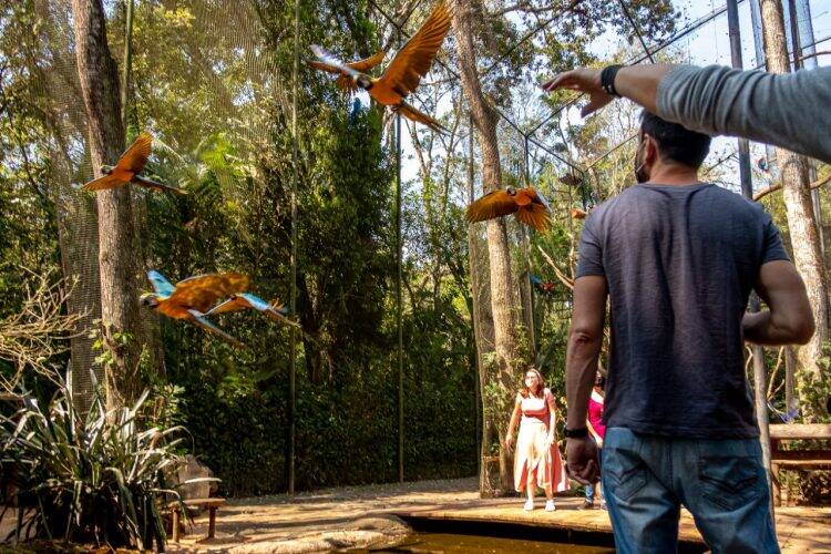 Parque das Aves tem feriado marcado pela retomada da visitação
