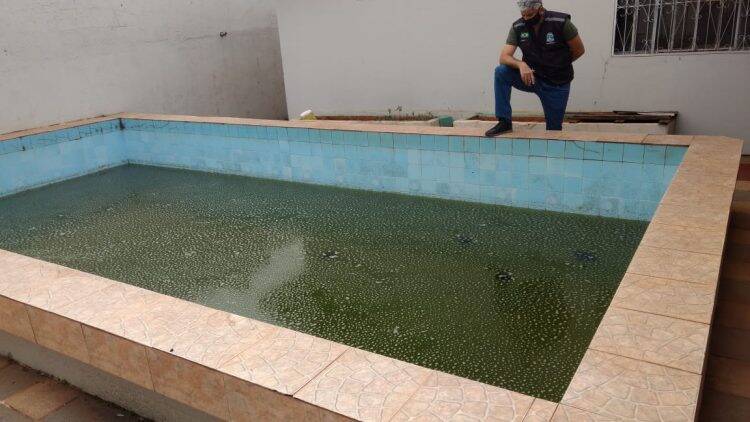 Foz registra 76 novos casos de dengue