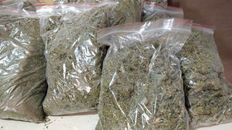 PM apreende cerca de 30 quilos de maconha capulho no Monsenhor Guilherme