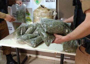 PM apreende cerca de 30 quilos de maconha capulho no Monsenhor Guilherme