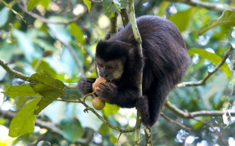 Primavera dá nova cara ao Parque Nacional do Iguaçu