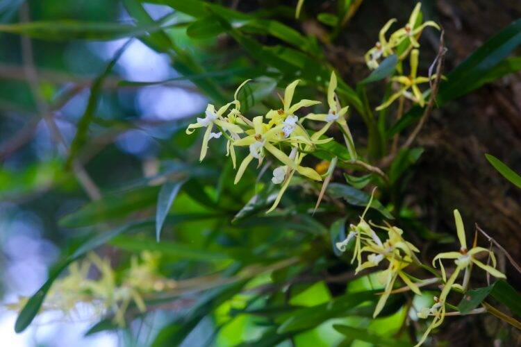 Primavera dá nova cara ao Parque Nacional do Iguaçu