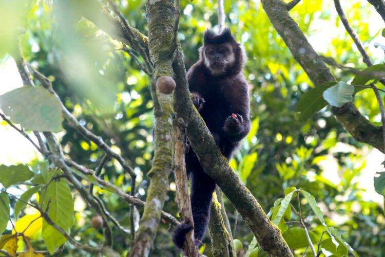 Primavera dá nova cara ao Parque Nacional do Iguaçu