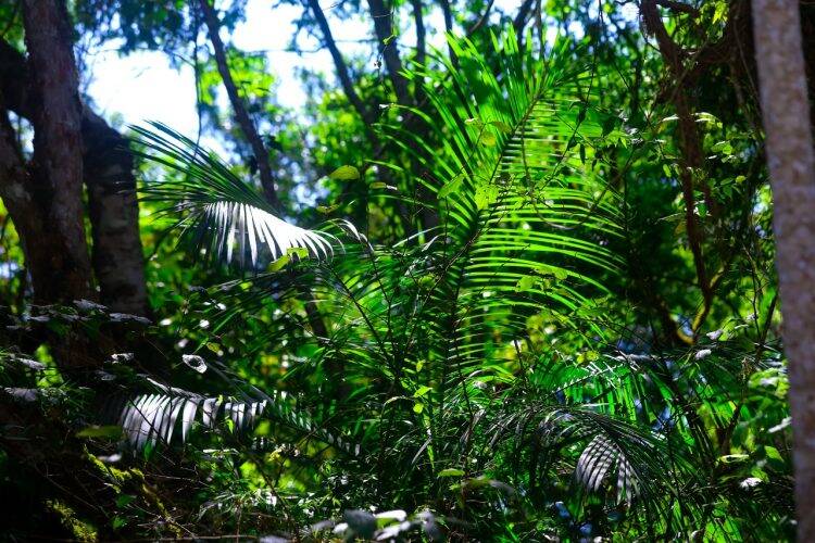 Primavera dá nova cara ao Parque Nacional do Iguaçu