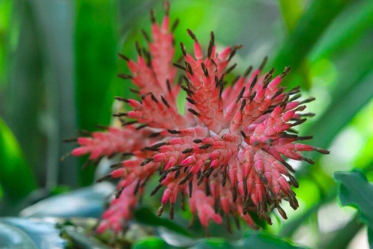 Primavera dá nova cara ao Parque Nacional do Iguaçu