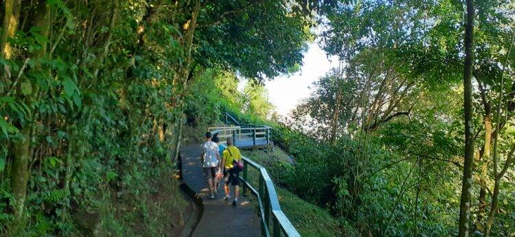 Primavera dá nova cara ao Parque Nacional do Iguaçu