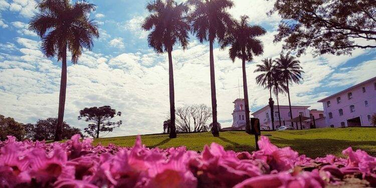 Primavera dá nova cara ao Parque Nacional do Iguaçu