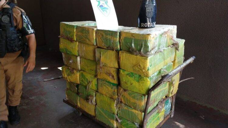 Polícia Militar apreende quase meia tonelada de maconha no Porto Belo