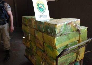 Polícia Militar apreende quase meia tonelada de maconha no Porto Belo