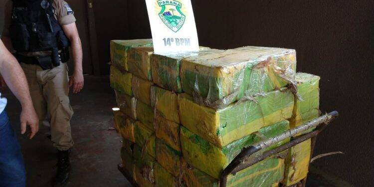 Polícia Militar apreende quase meia tonelada de maconha no Porto Belo