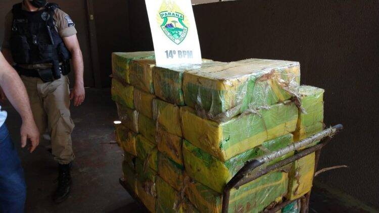 Polícia Militar apreende quase meia tonelada de maconha no Porto Belo