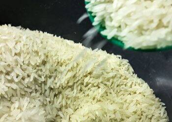 Governo define critérios para cota de importação de arroz