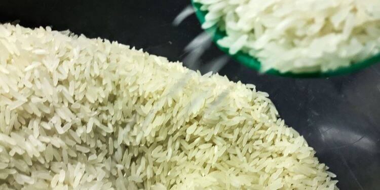 Governo define critérios para cota de importação de arroz