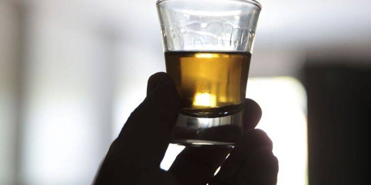 Da proibição ao domínio do mercado: o caminho da cachaça no Brasil