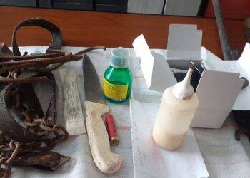 No Paraguai, idosa de 82 anos é acusada de criar cães para vender a carne