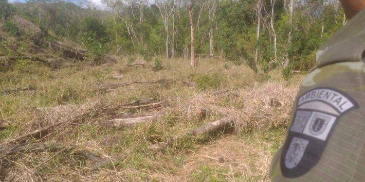 Multas por crimes ambientais somam R$ 2,5 milhões em oito dias