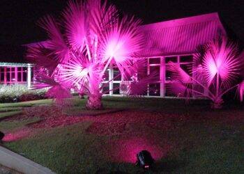 Oficialmente, nesta quinta-feira (1º), Itaipu se veste de rosa