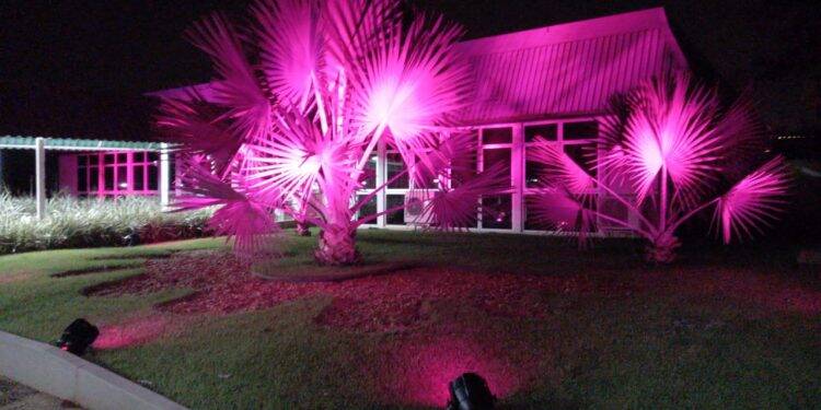 Oficialmente, nesta quinta-feira (1º), Itaipu se veste de rosa