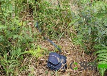 Polícia Civil investiga cemitério clandestino no Paraná