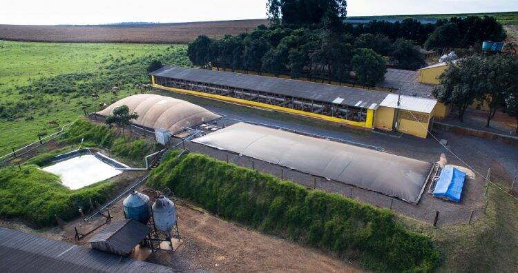 Jornal mais antigo da Suíça destaca ações de energias renováveis de Itaipu