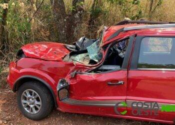 Morador de Serranópolis morre após colidir com veículo em árvore na PR 495