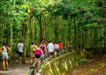 Inscrições para capacitação de guias de turismo começam nesta terça-feira (6)