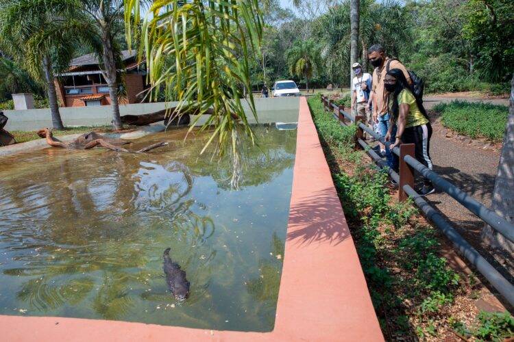 Itaipu espera receber quase 5 mil turistas no Feriadão da Padroeira