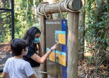 Itaipu espera receber quase 5 mil turistas no Feriadão da Padroeira