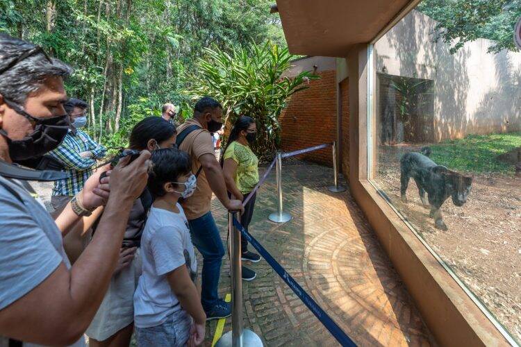 Itaipu espera receber quase 5 mil turistas no Feriadão da Padroeira