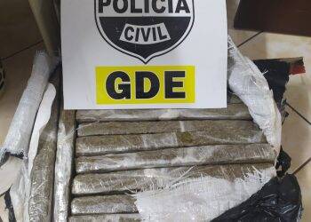 Polícia Civil localiza droga abandonada