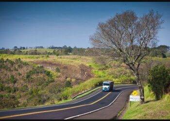 Feriado prolongado aumenta o fluxo diário de veículos em 25% na BR-277