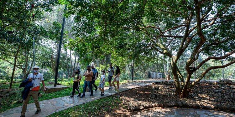 Campanha “Vem pra Foz” dá resultado e principais atrativos registram mais de 28 mil visitantes no feriadão