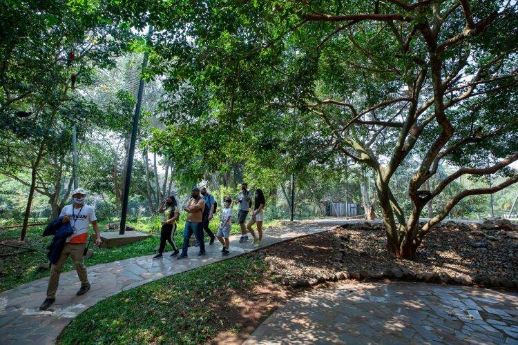 Campanha “Vem pra Foz” dá resultado e principais atrativos registram mais de 28 mil visitantes no feriadão