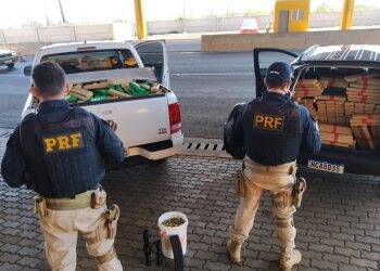 PRF apreende mais de uma tonelada de maconha, skunk e mil munições de fuzil em Cascavel