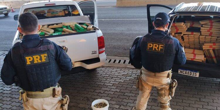 PRF apreende mais de uma tonelada de maconha, skunk e mil munições de fuzil em Cascavel