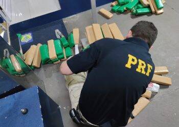 PRF apreende mais de 50 quilos de maconha