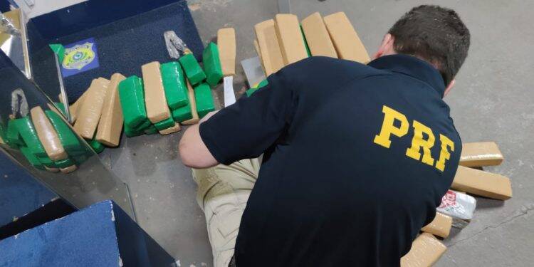 PRF apreende mais de 50 quilos de maconha