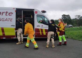 Motorista que trocava pneu de caminhão é baleado na cabeça em assalto na BR-277